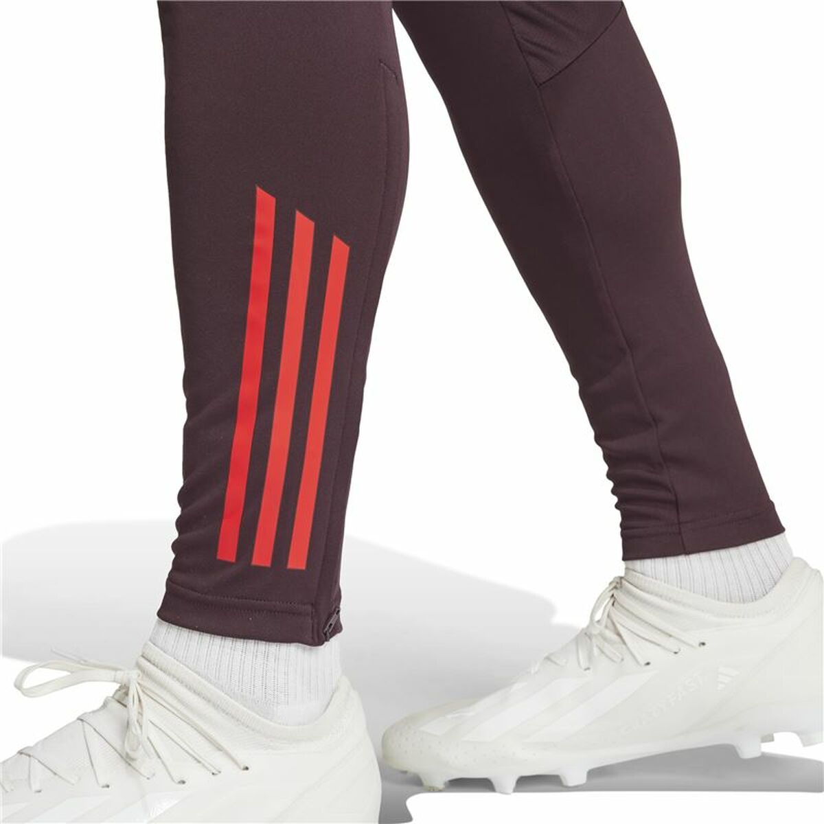 Pantalón Largo Deportivo Adidas Fc Bayern 24/25 Tiro24 Marrón Granate Hombre