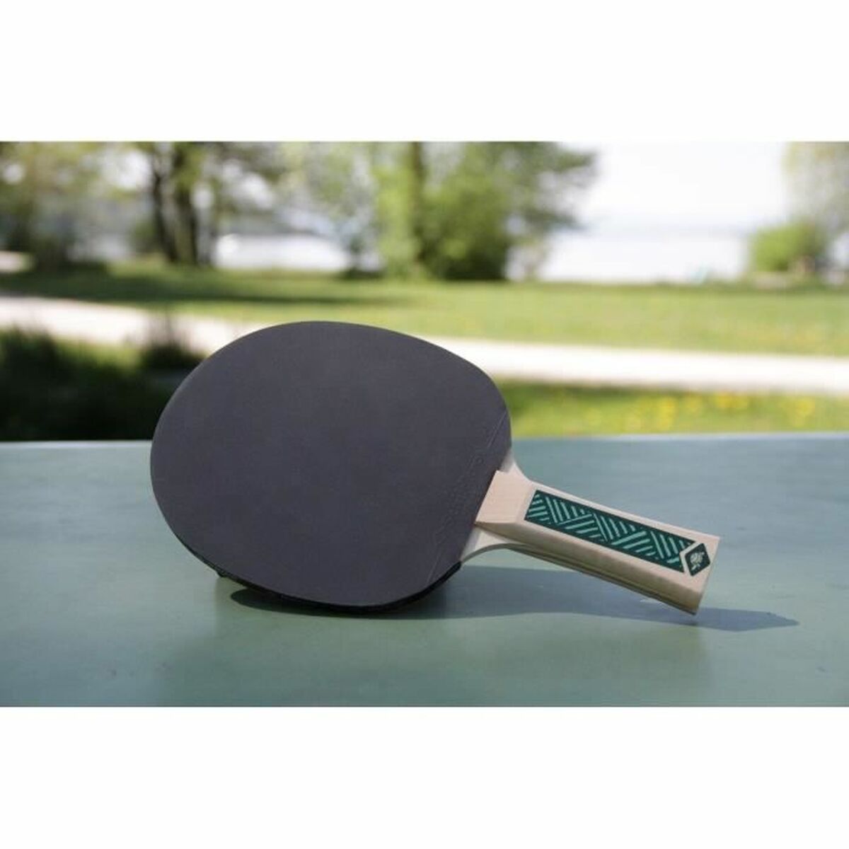 Set de Ping Pong Schildkröt