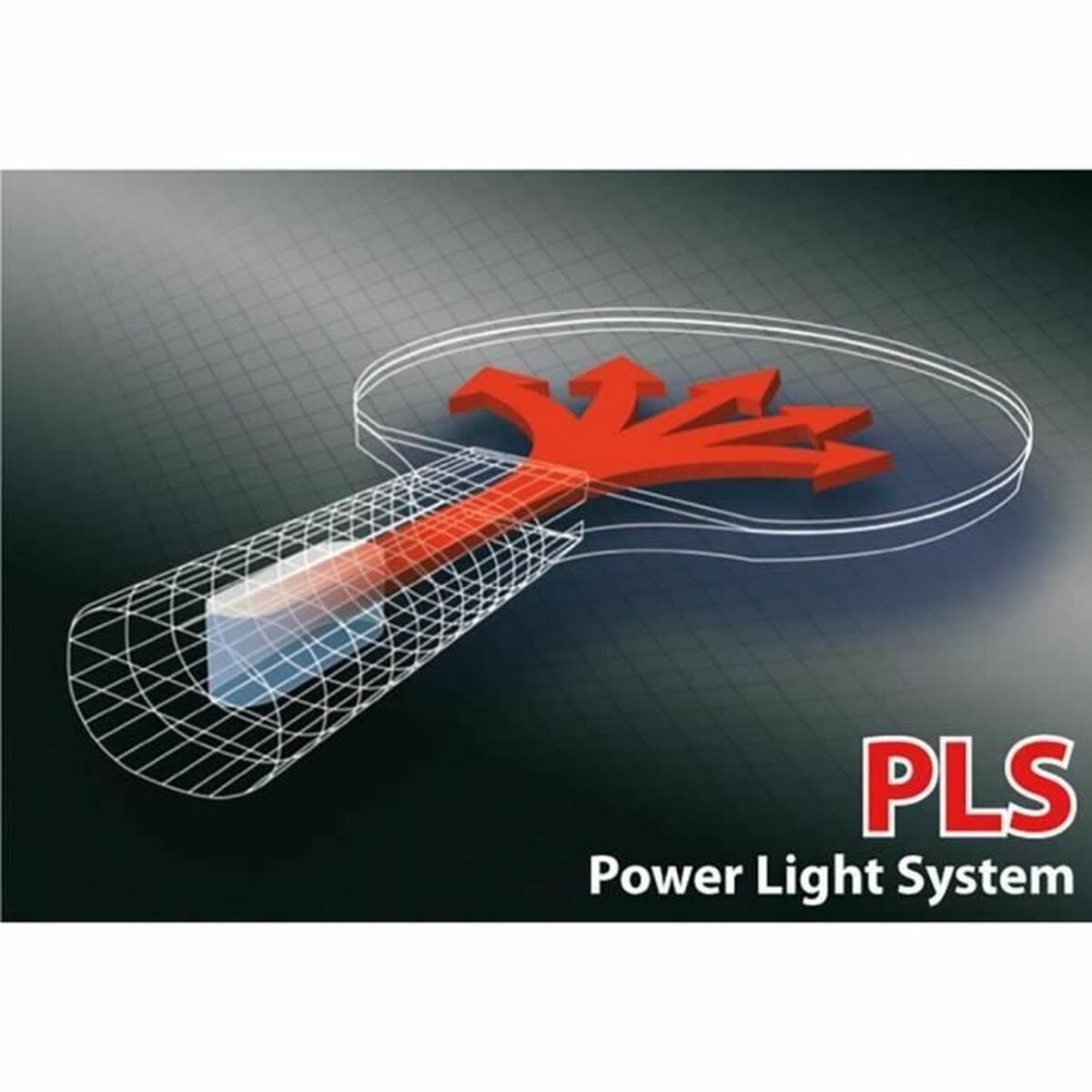 Raqueta de Ping Pong Schildkröt