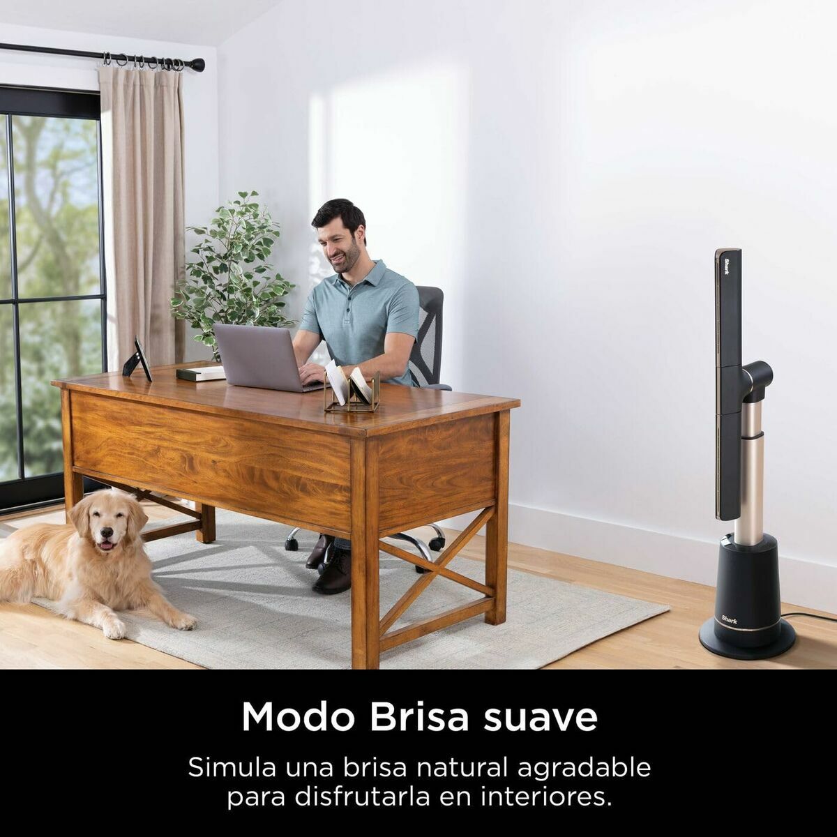 Ventilador de Pie Shark TF200SEU