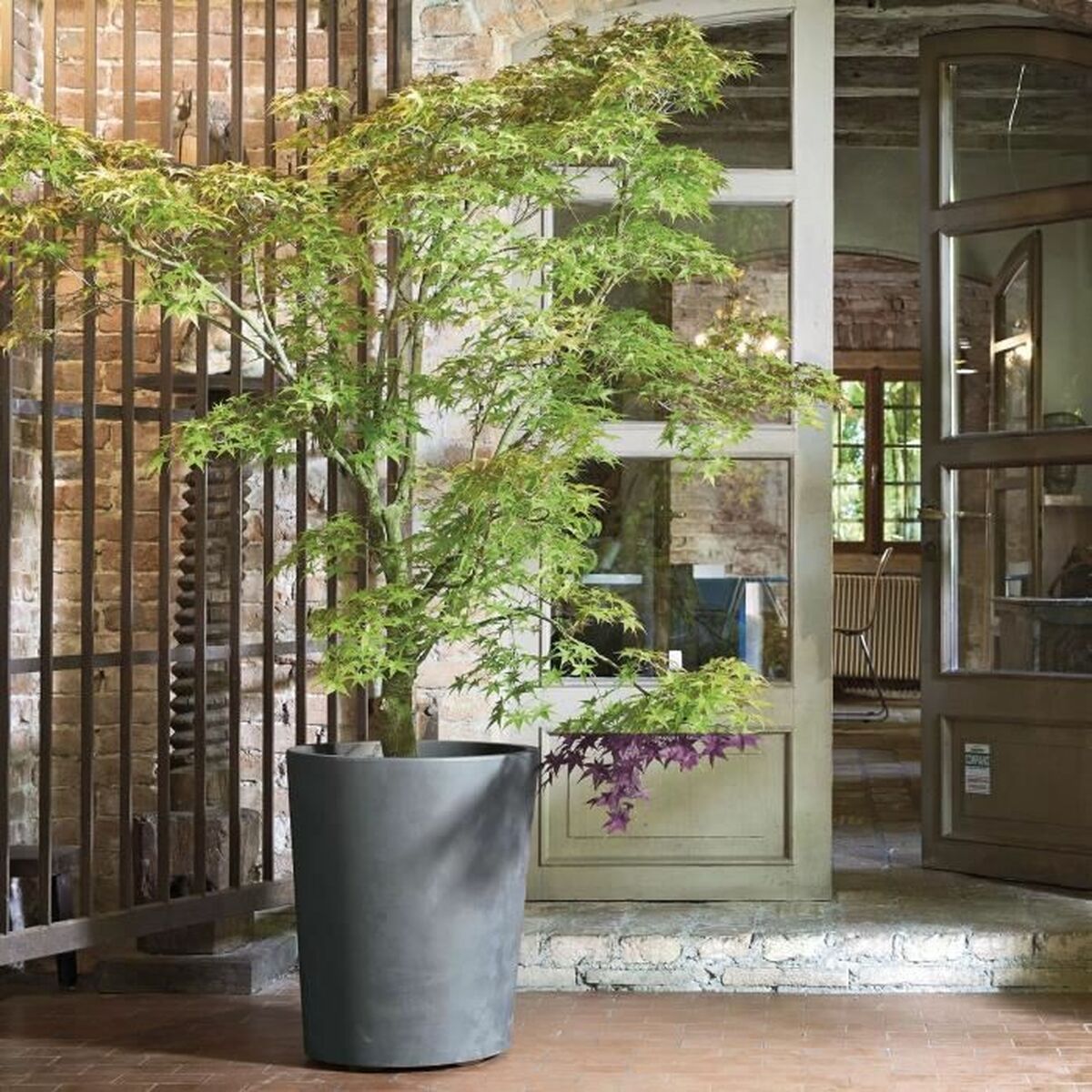 Maceta Deroma Gris Plástico Redondo Cilindro