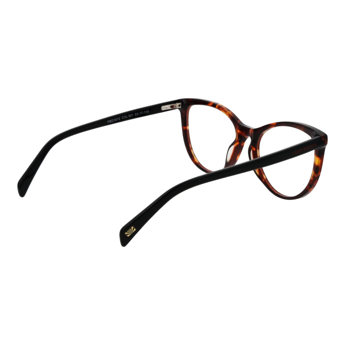 Montura de Gafas Mujer Funky Buddha FBD1012 53001