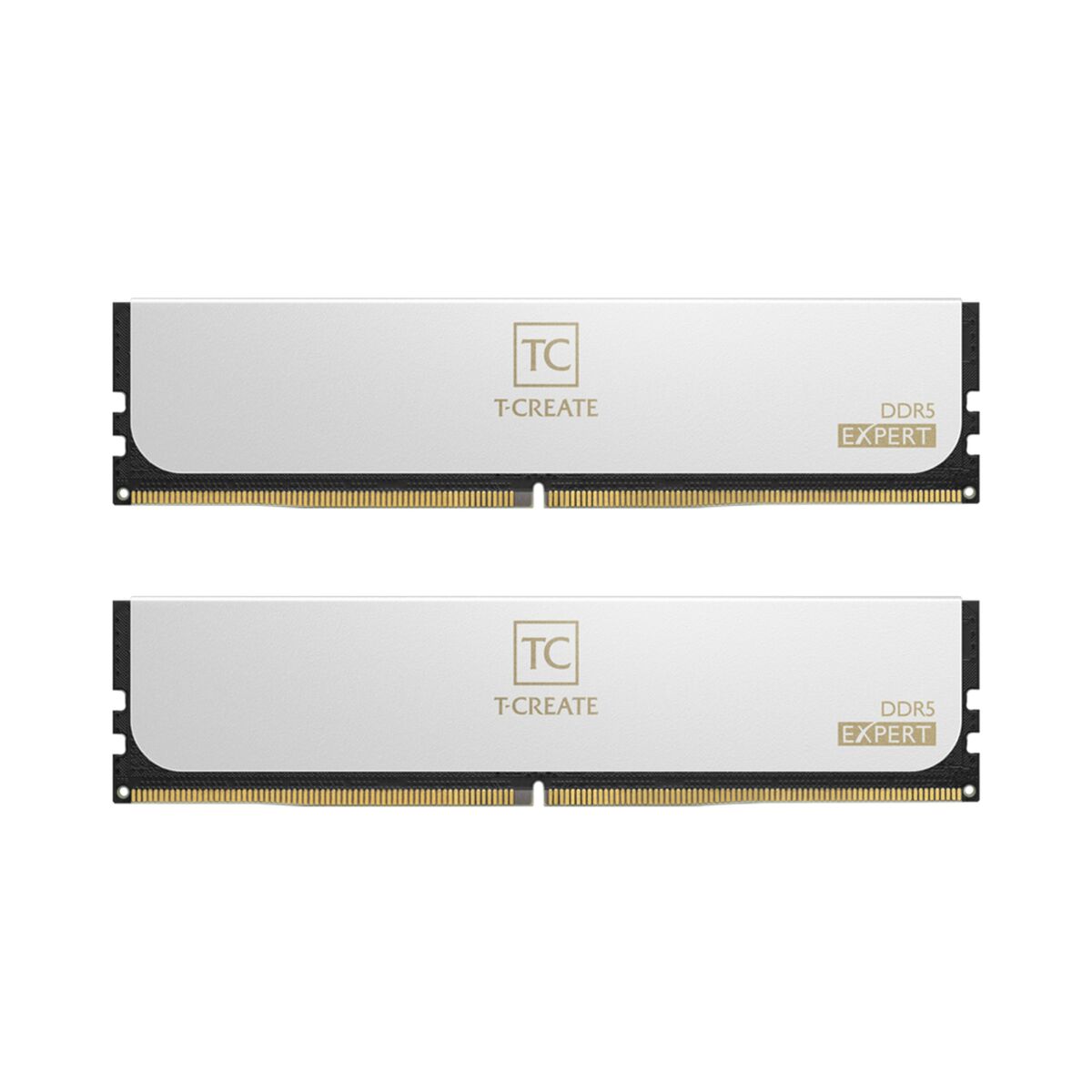 Memoria RAM Team Group CTCWD564G6400HC34BDC01