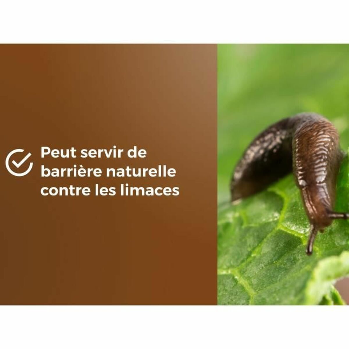 Abono orgánico OR BRUN