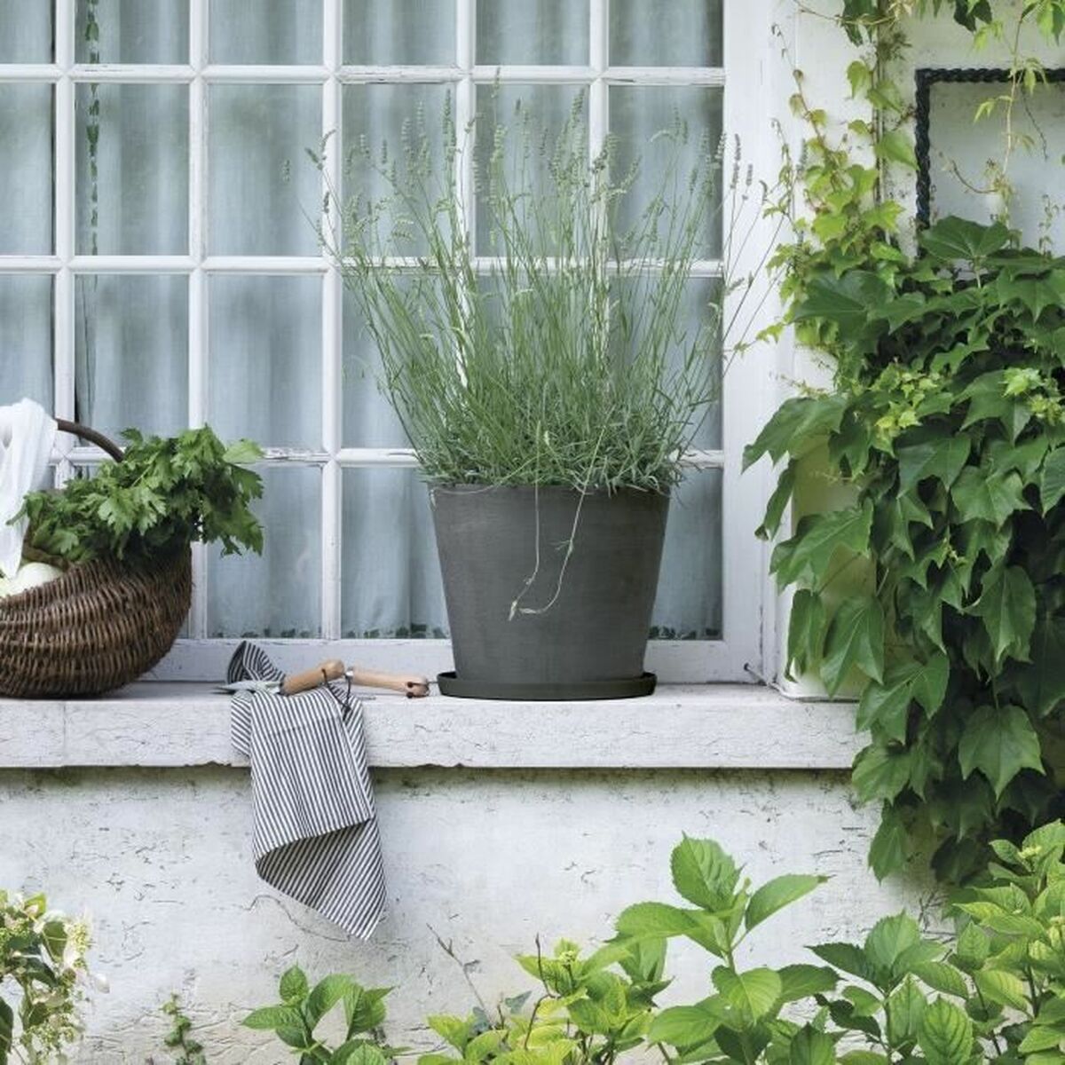 Plato para Maceta Deroma