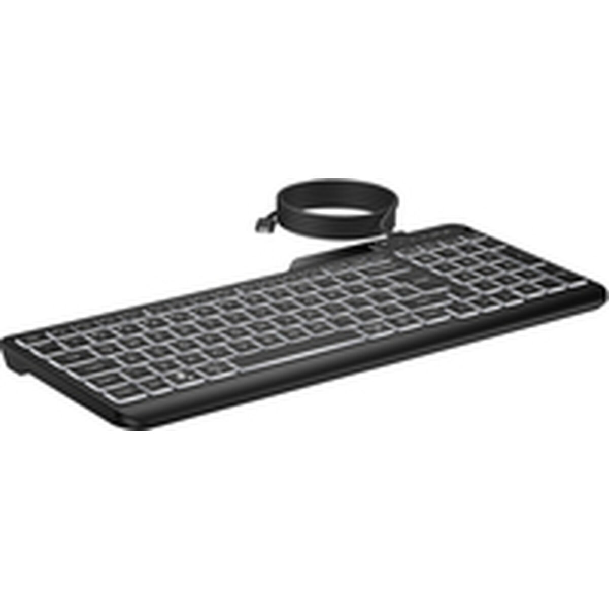 Teclado y Ratón HP 7N7C1AA Negro Qwerty US Qwerty Español