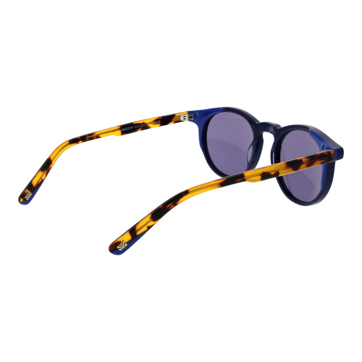 Gafas de Sol Hombre Funky Buddha FBS2034 52001