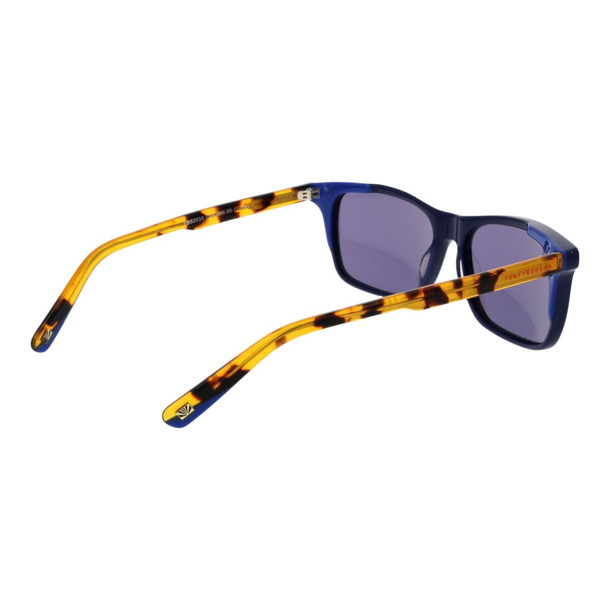 Gafas de Sol Hombre Funky Buddha FBS2033 59001
