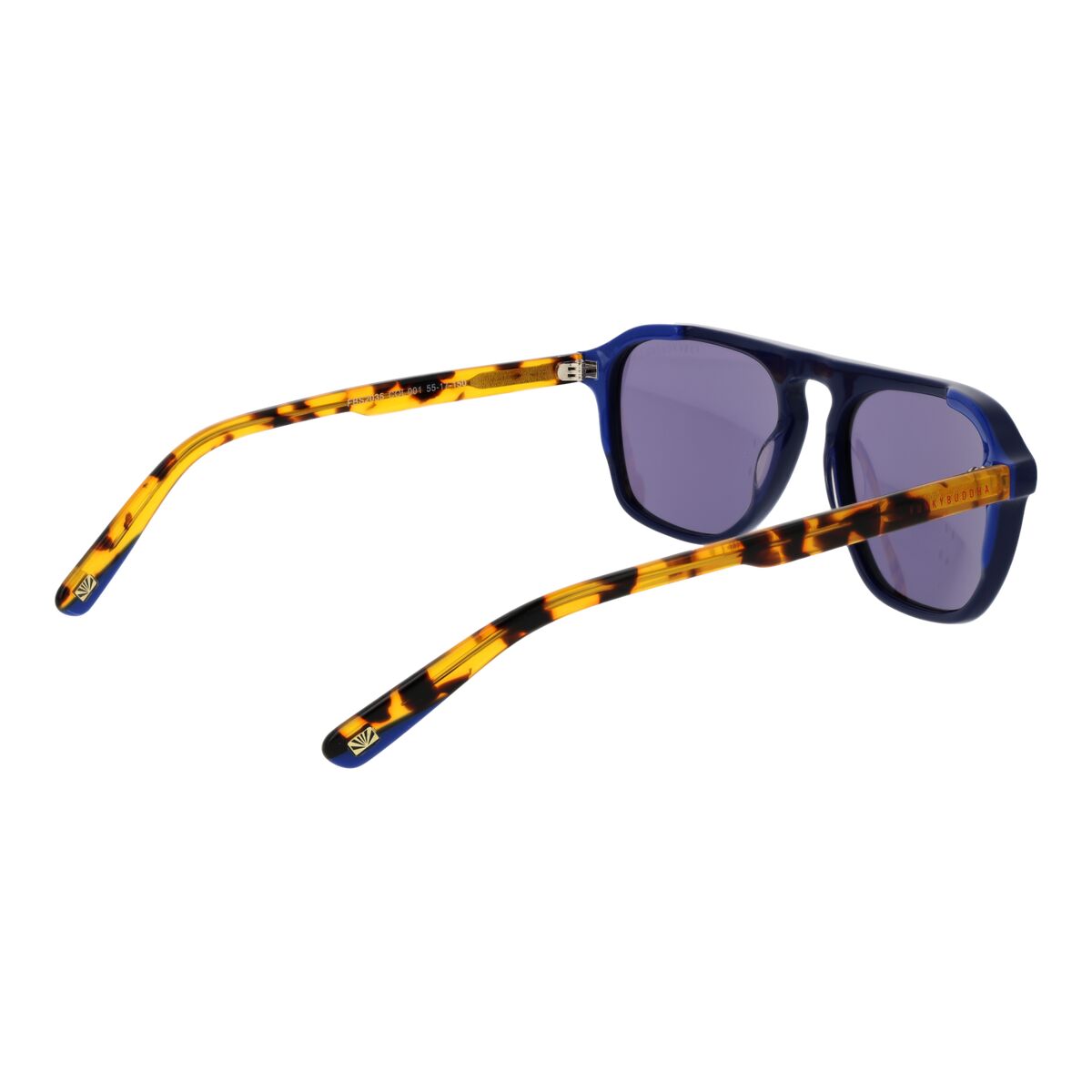 Gafas de Sol Hombre Funky Buddha FBS2035 55001