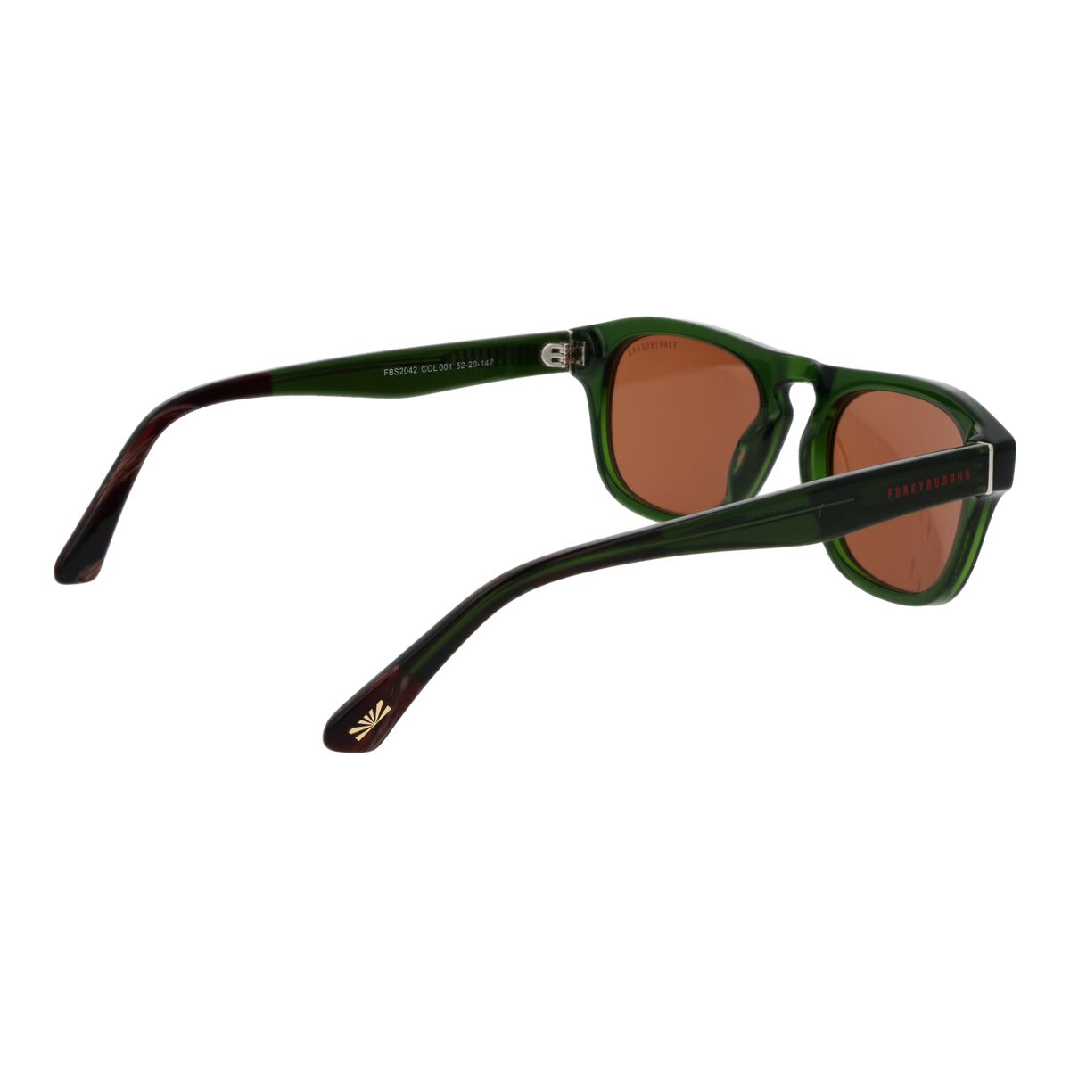 Gafas de Sol Hombre Funky Buddha FBS2042 52001