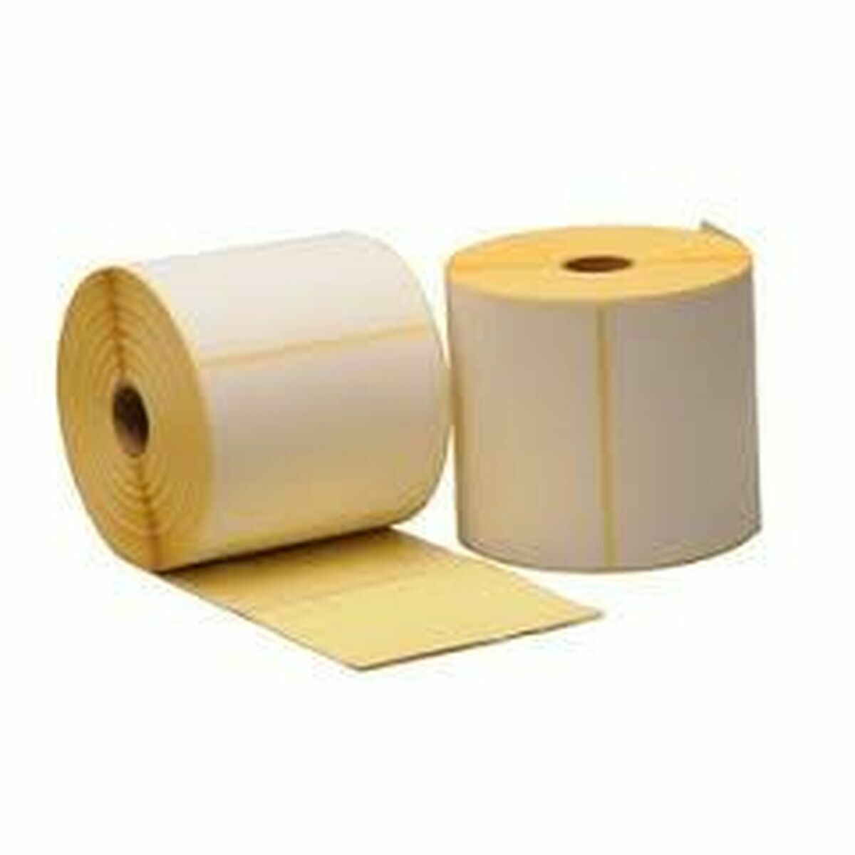 Rollo Papel Térmico Zebra 880239-076D Blanco 31 mm (12 Unidades)