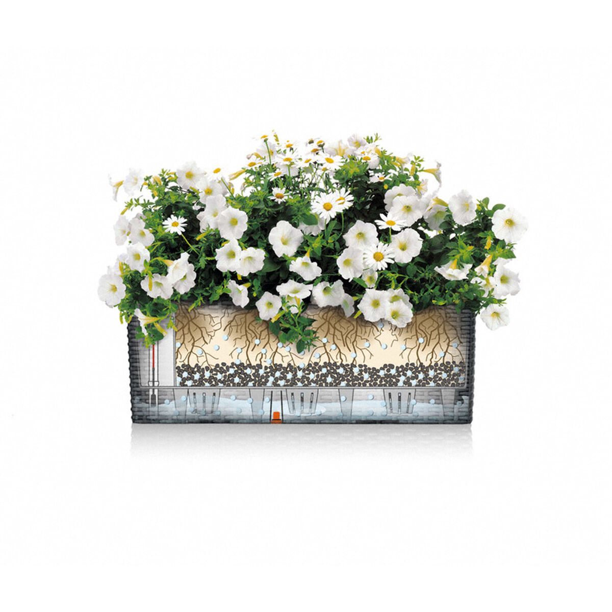 Maceta Lechuza Blanco Negro Polipropileno