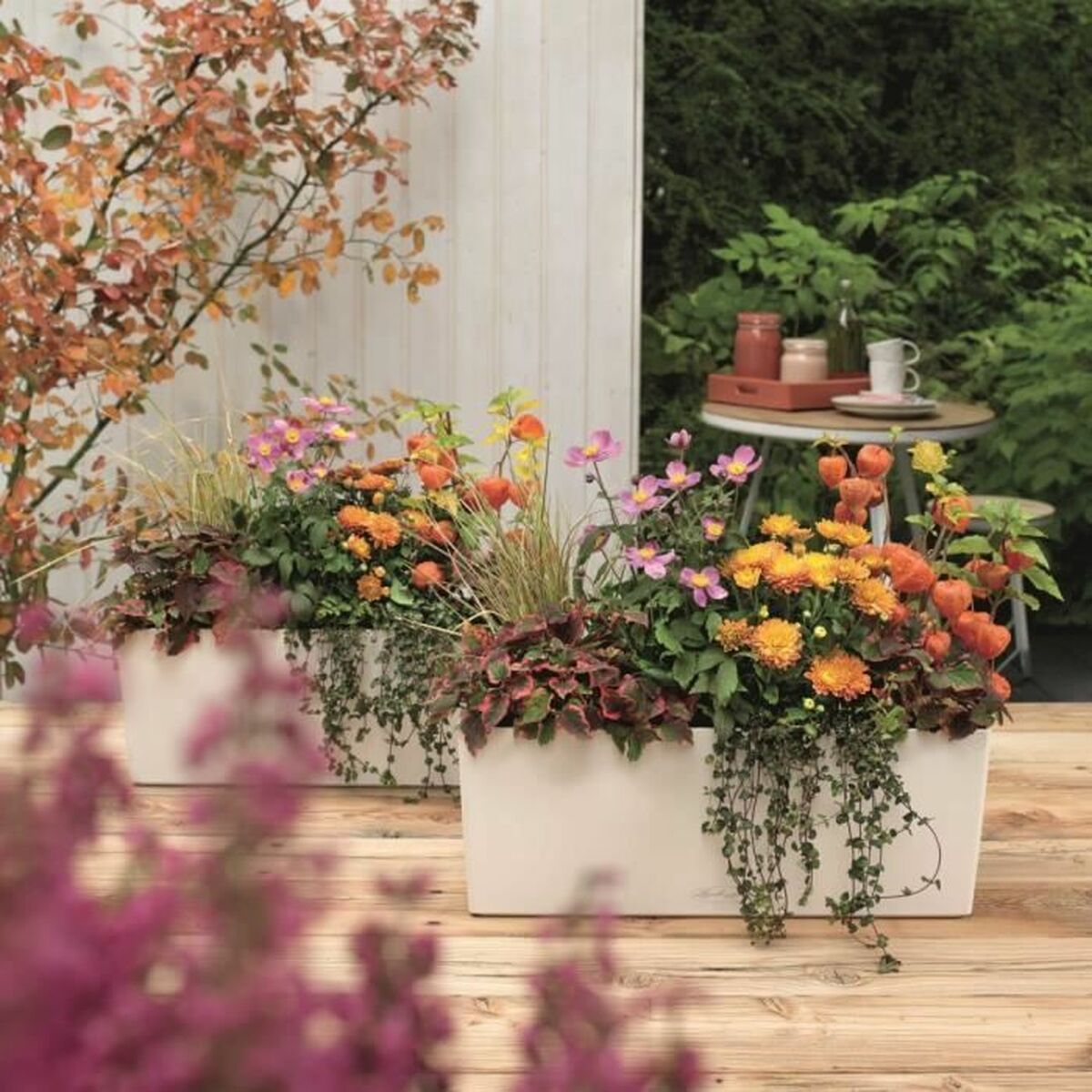 Maceta Lechuza Blanco Negro Polipropileno