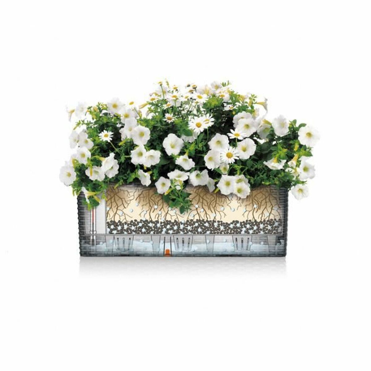 Maceta Lechuza Marrón Negro Polipropileno