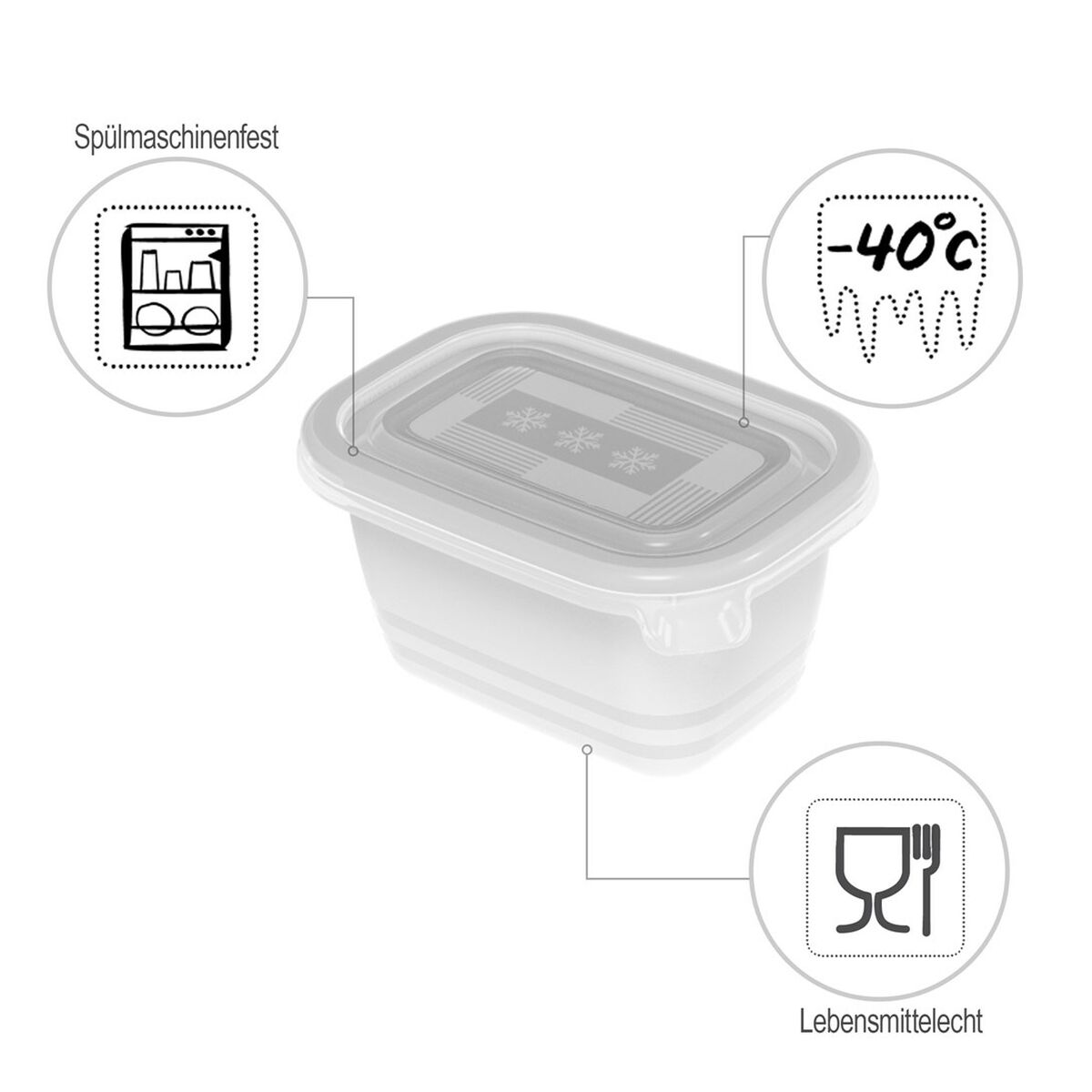 Comedero para Gato Rotho Transparente (6 Unidades)