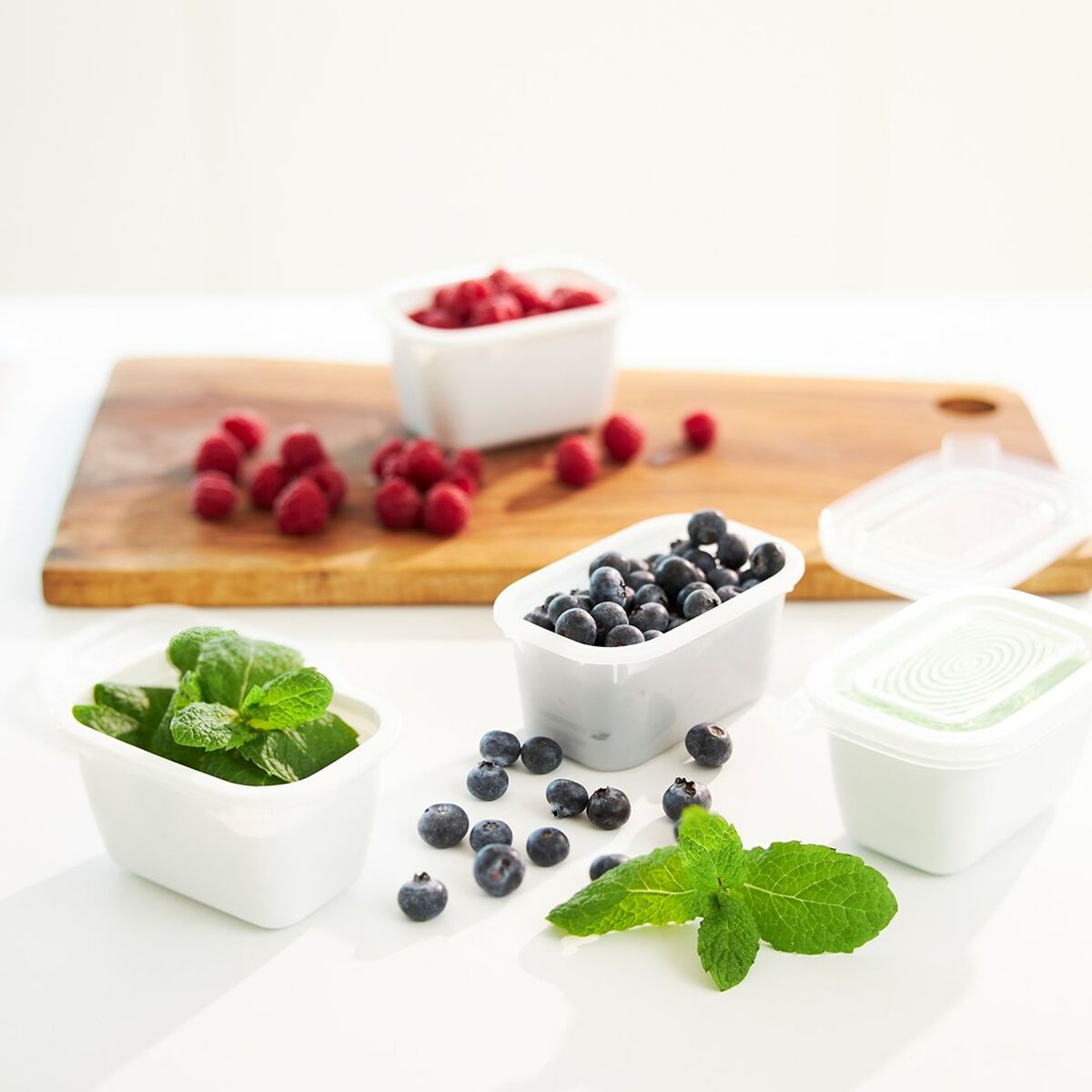 Comedero para Gato Rotho Transparente