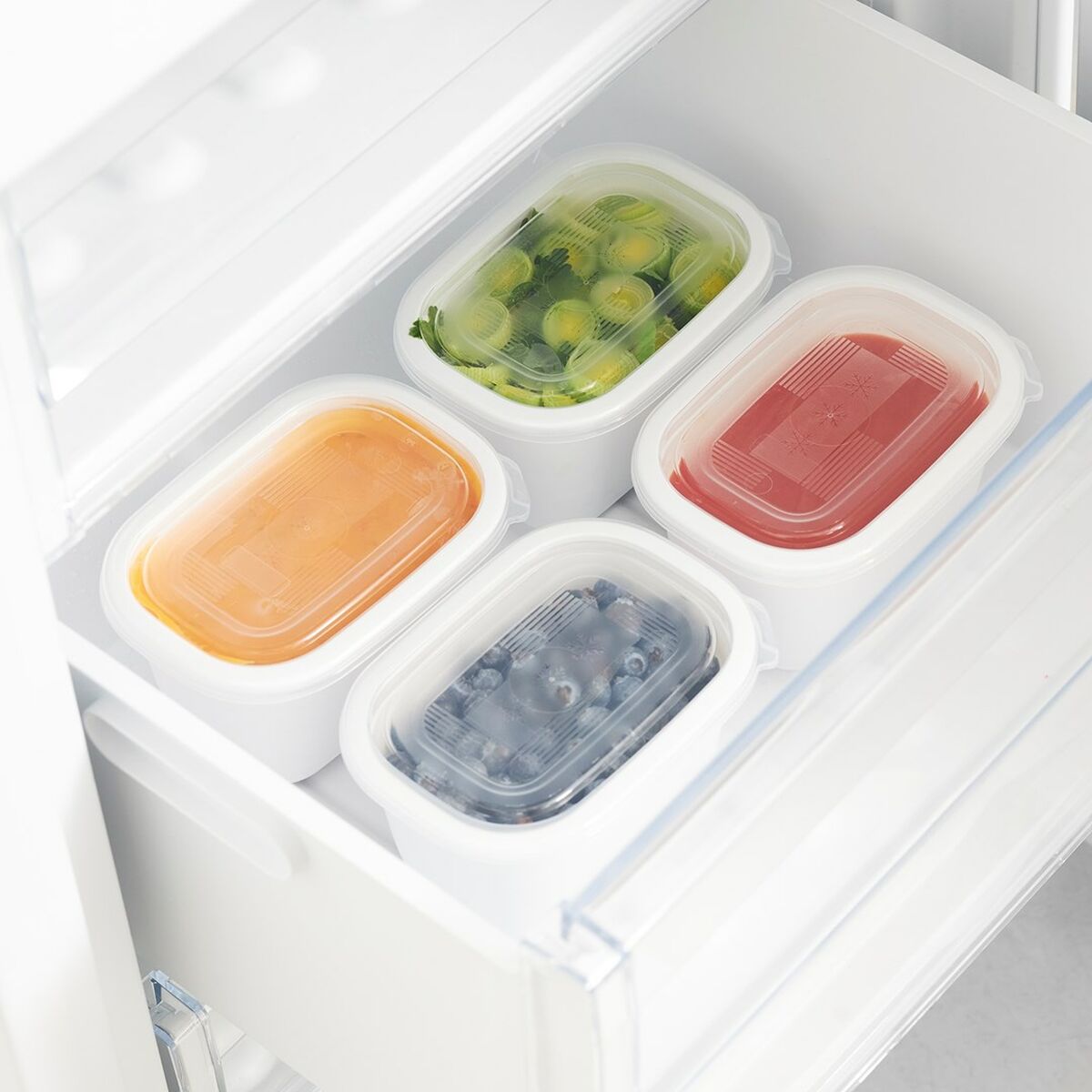 Comedero para Gato Rotho Transparente