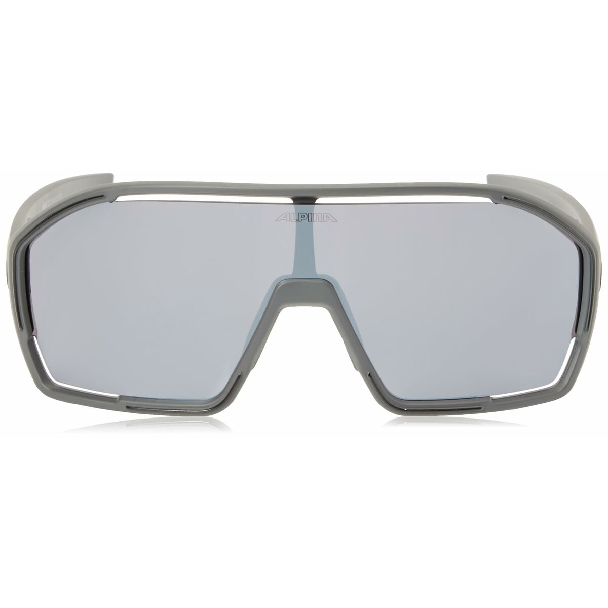 Gafas de Sol Hombre Alpina A8687321