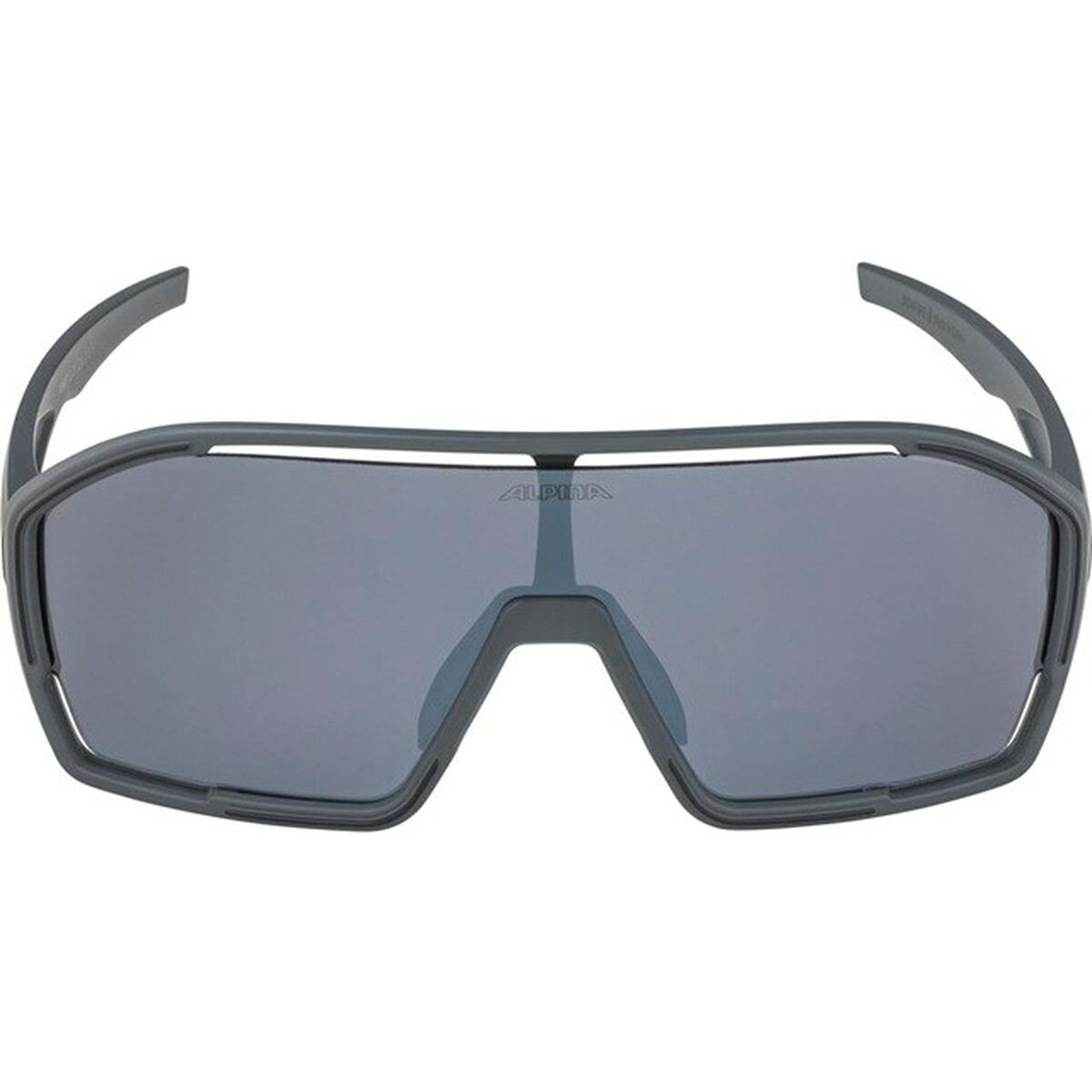 Gafas de Sol Hombre Alpina A8687321