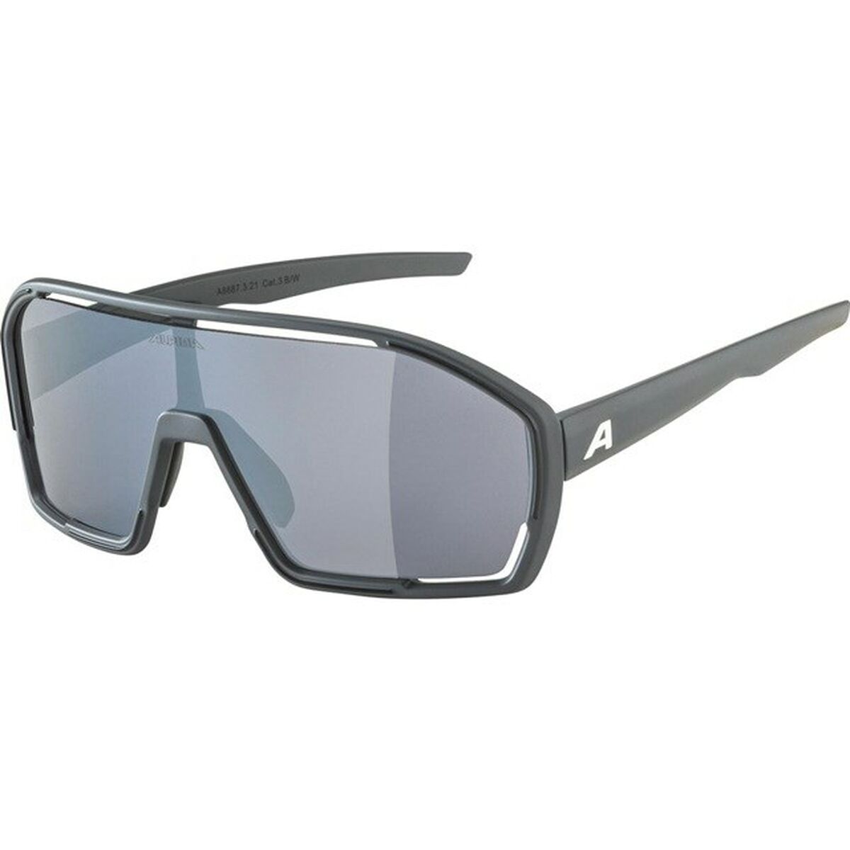 Gafas de Sol Hombre Alpina A8687321