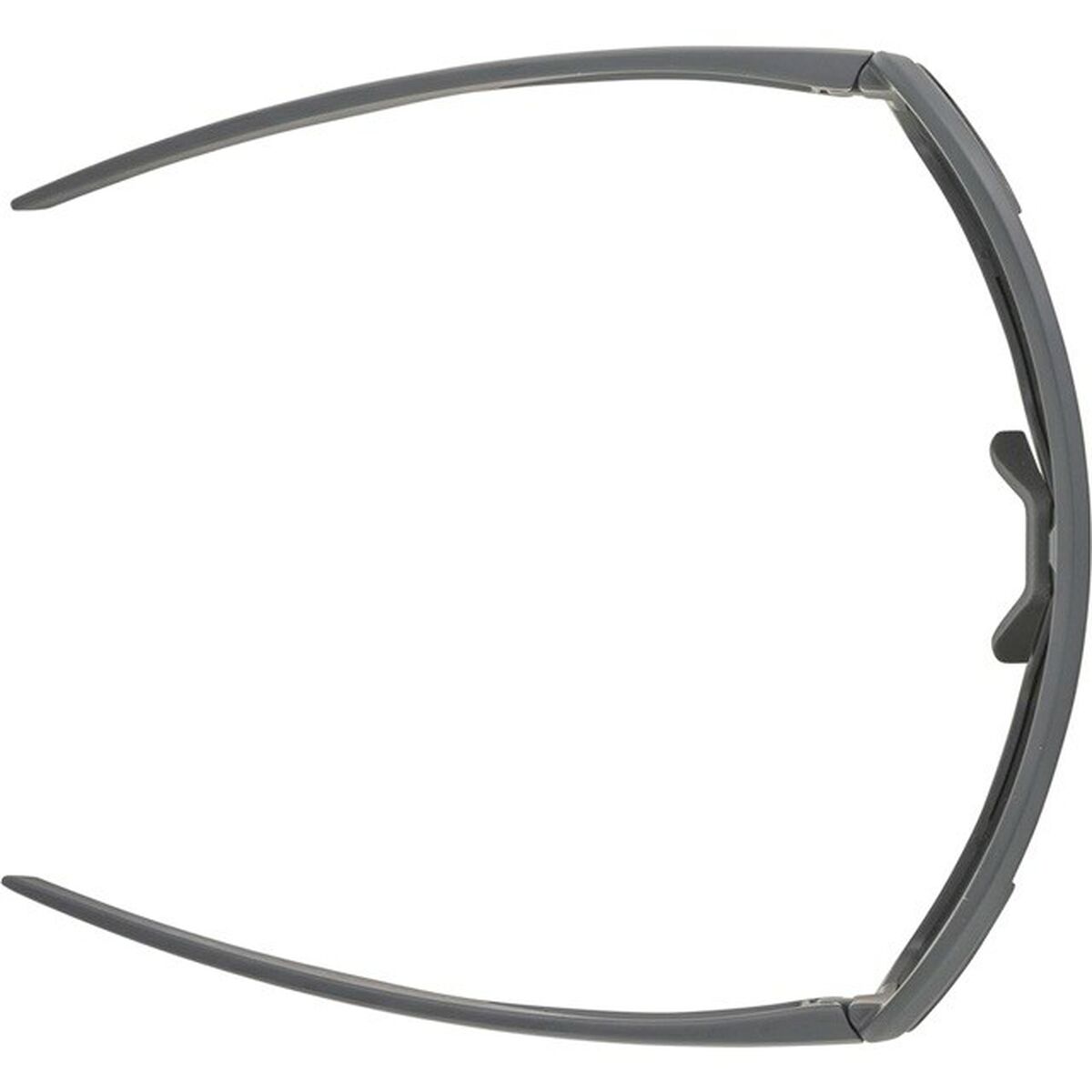 Gafas de Sol Hombre Alpina A8687321