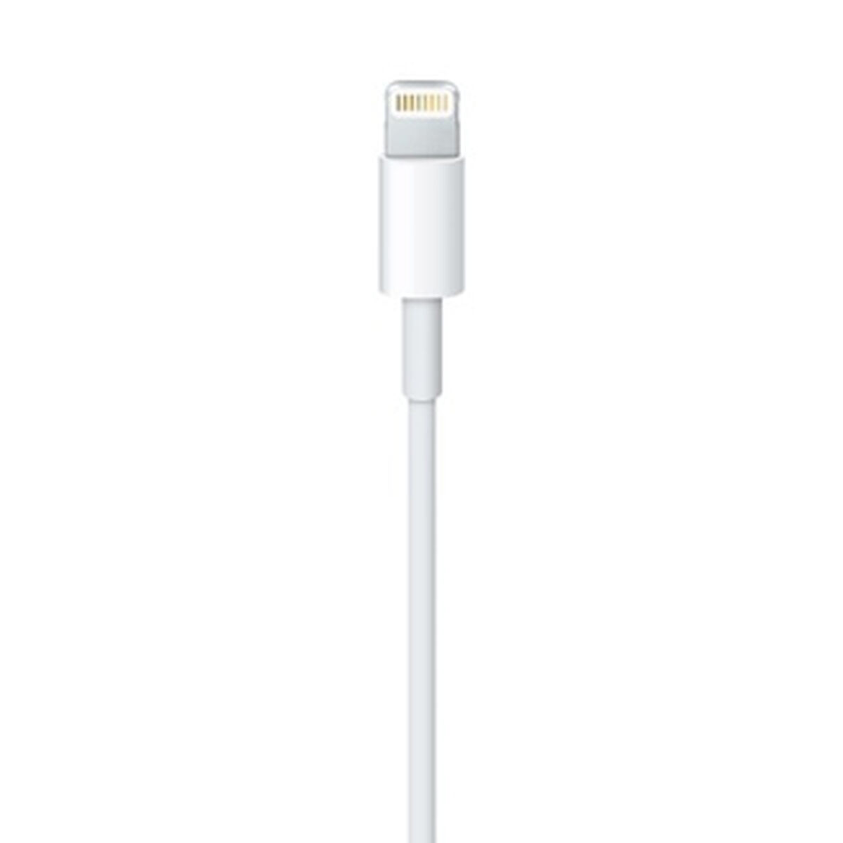 Cable Lightning Apple ME291ZM/A Blanco 50 cm (1 unidad)