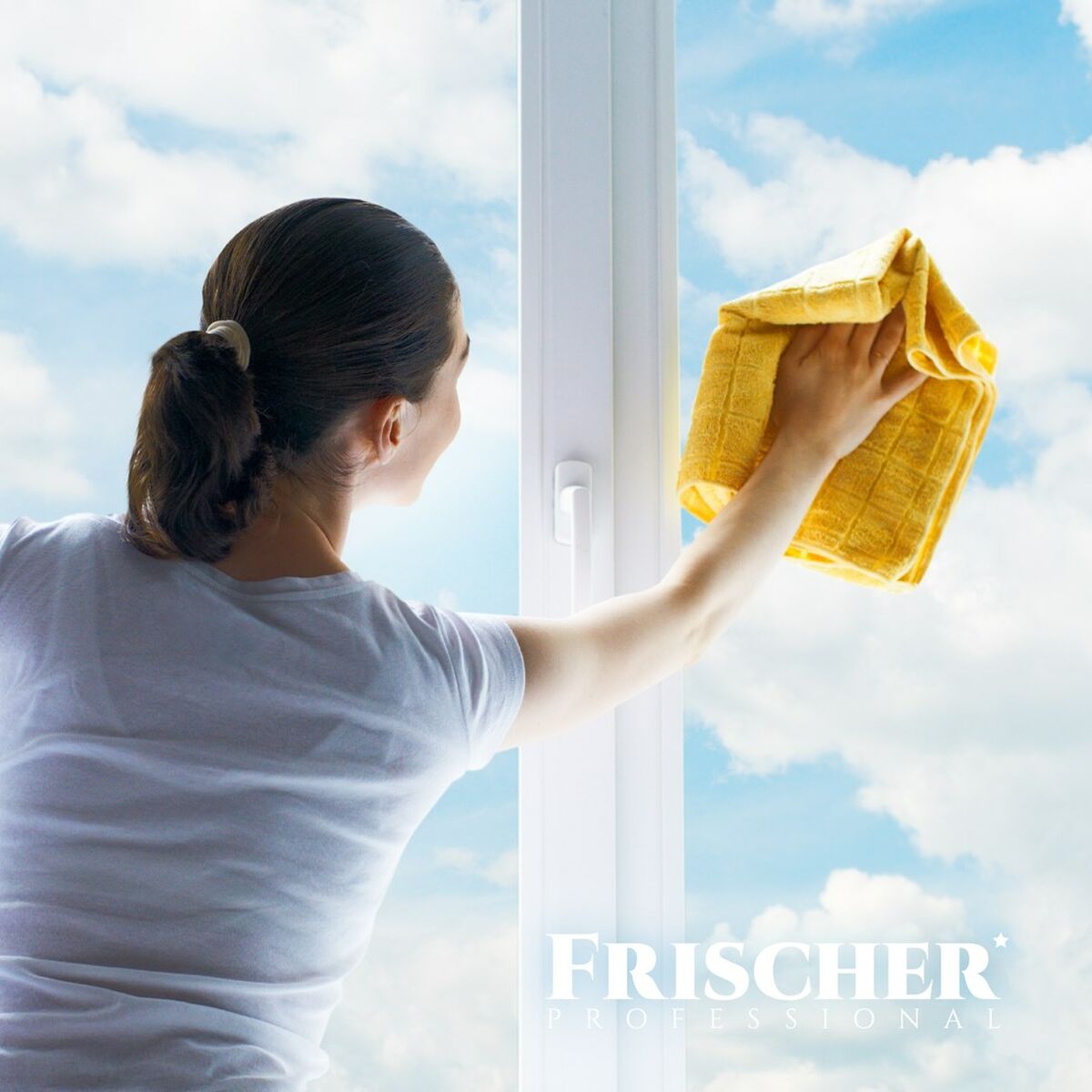 Limpiador Frischer FR00233_1000