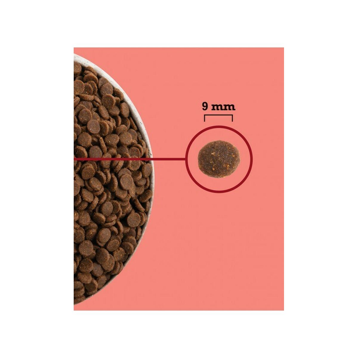 Comida para gato Acana