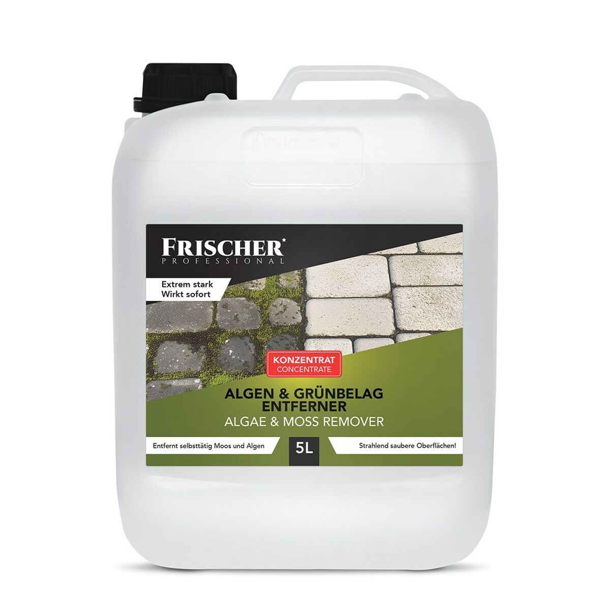 Aspirador Limpiacristales Frischer FR00241_5000