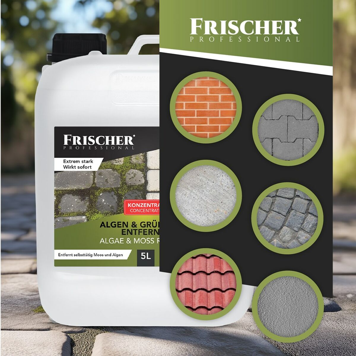 Aspirador Limpiacristales Frischer FR00241_5000