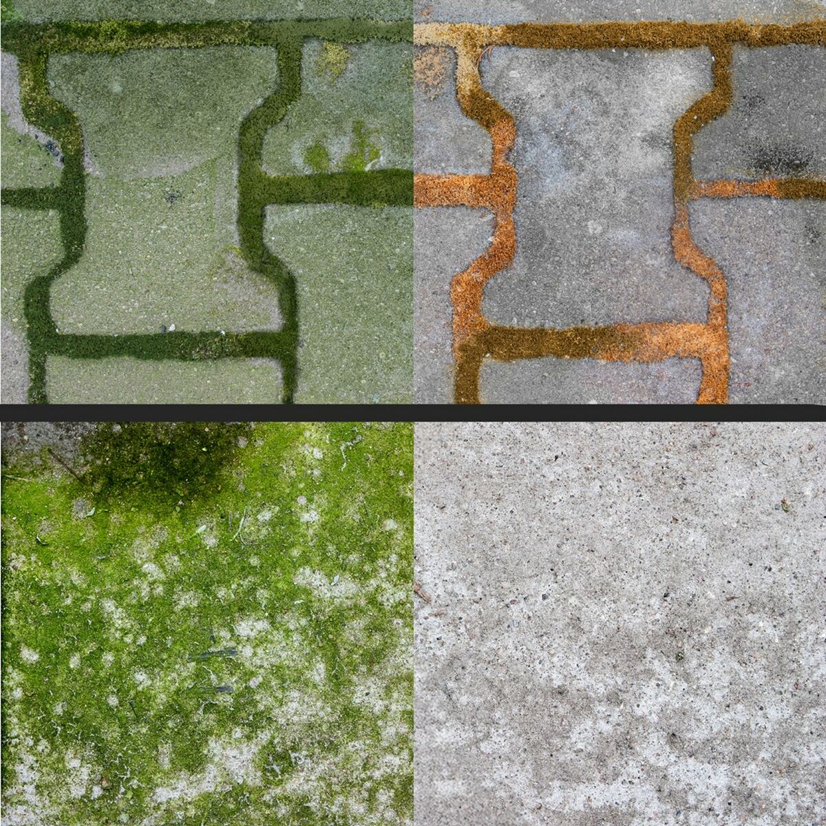 Aspirador Limpiacristales Frischer FR00241_5000