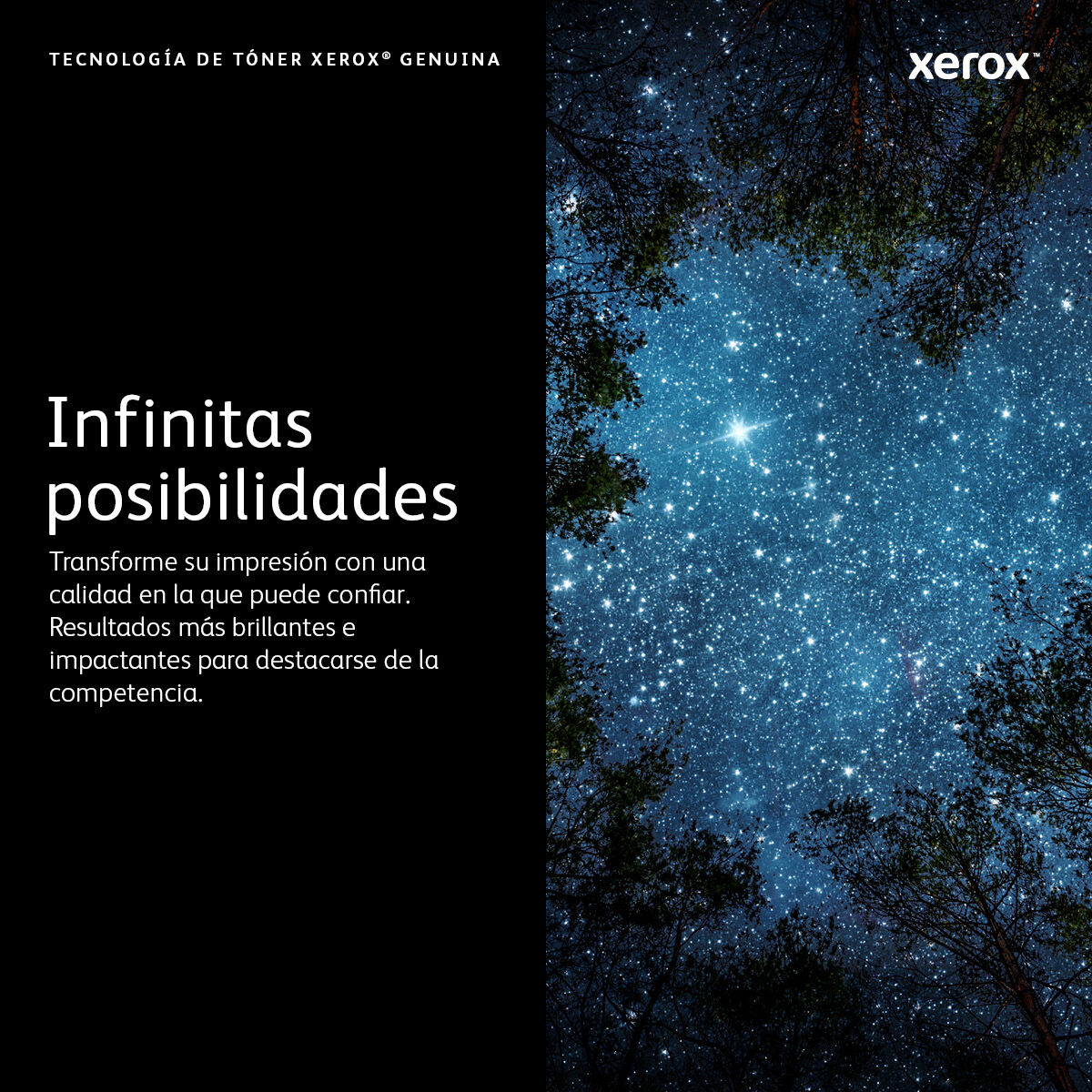 Tóner Xerox 006R04398 Amarillo