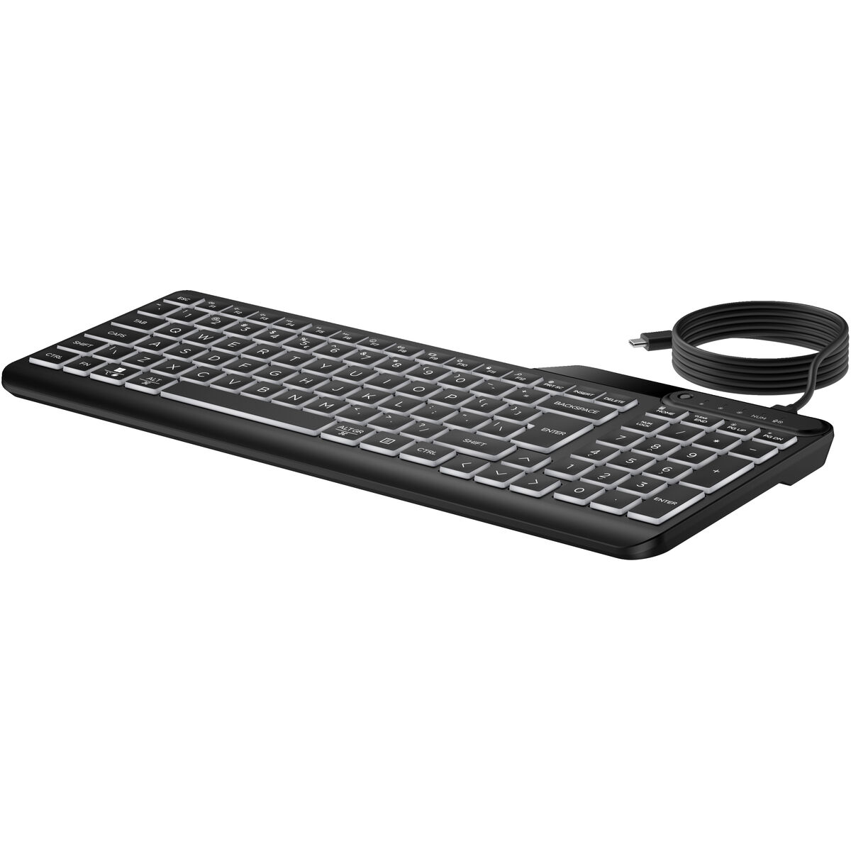 Teclado HP 7N7C1AA Negro Qwerty US