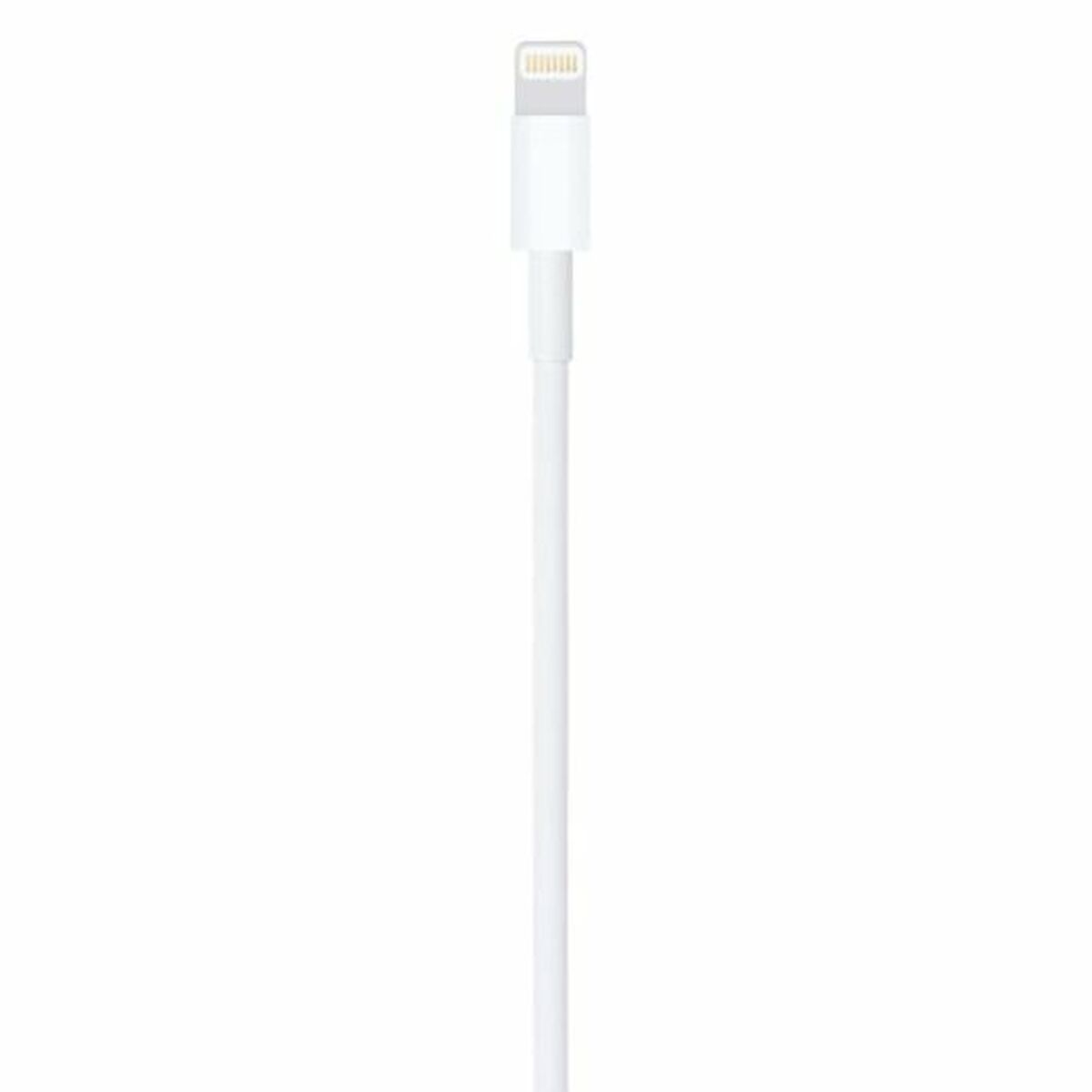 Cable USB a Lightning Apple Blanco 1 m