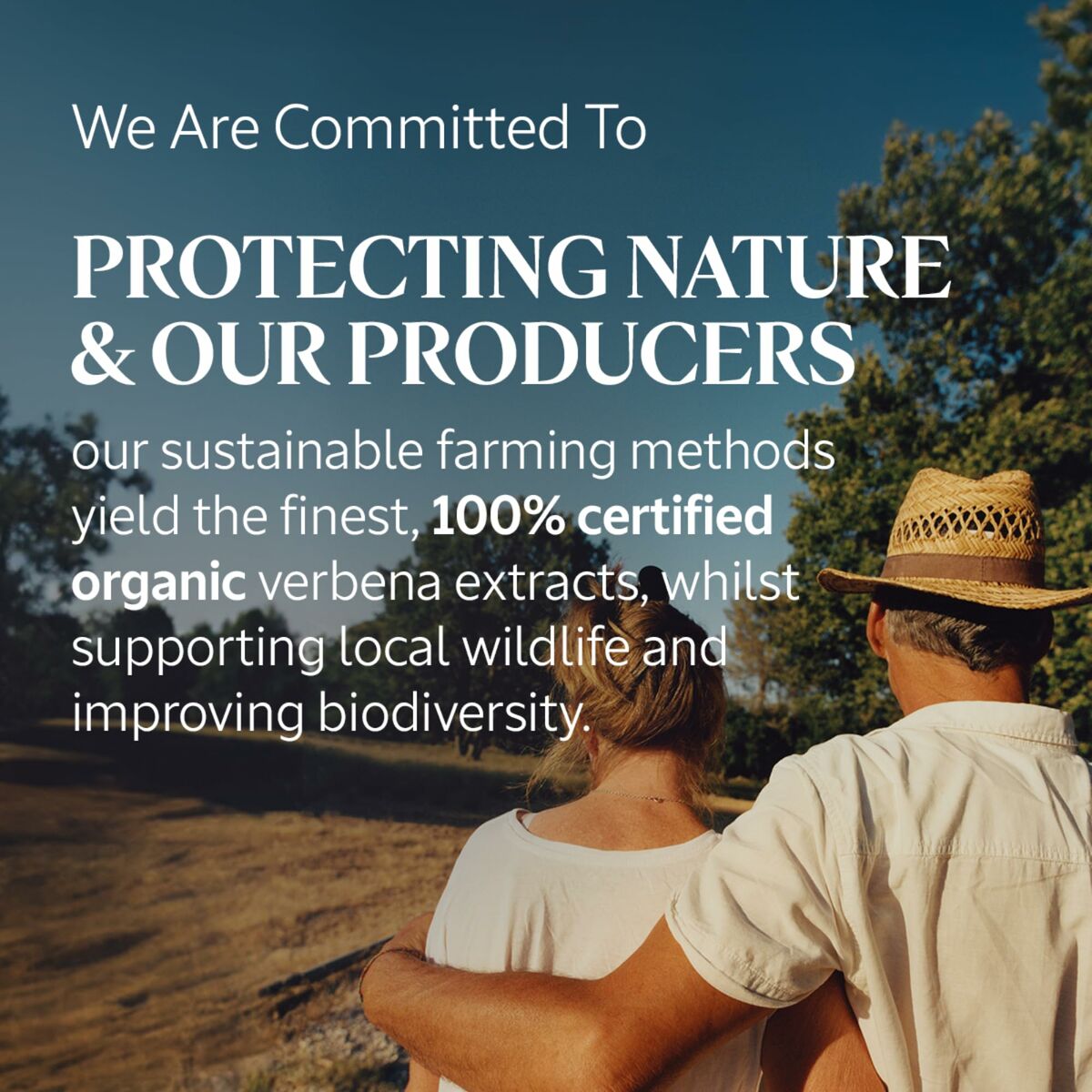 Crema de Manos L'Occitane En Provence VERBENA 30 ml