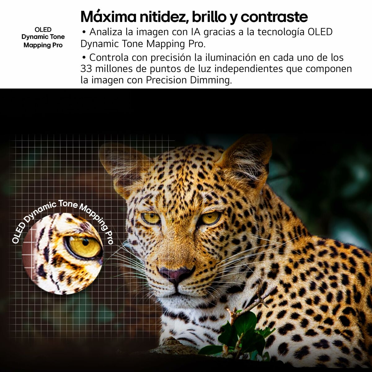 Smart TV LG OLED83C54LA 4K Ultra HD 83" HDR OLED