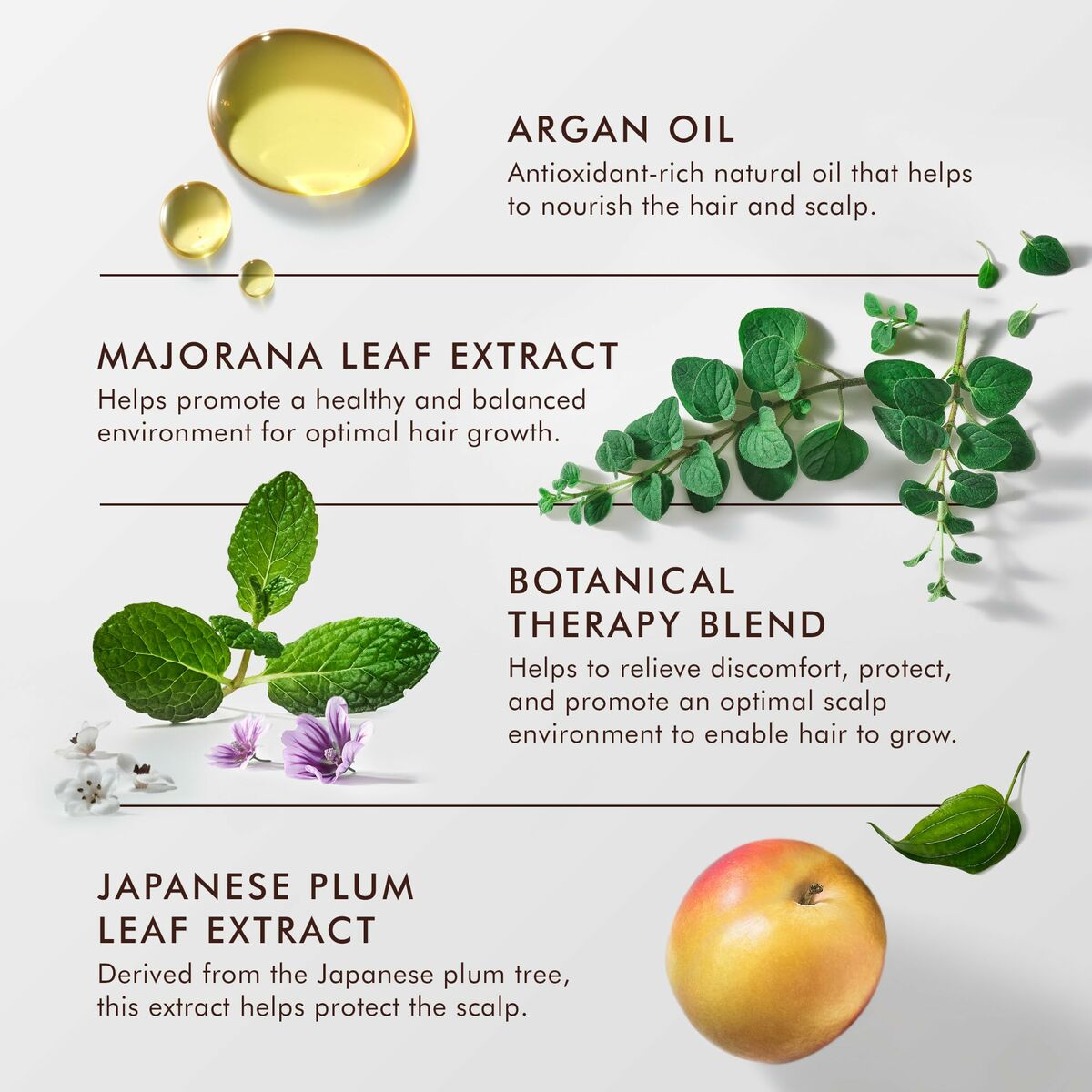 Crema de Peinado Moroccanoil