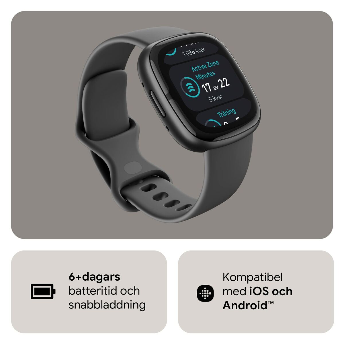 Smartwatch Google Sense 2 Gris 1,58"