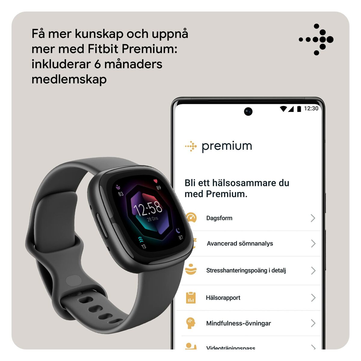 Smartwatch Google Sense 2 Gris 1,58"