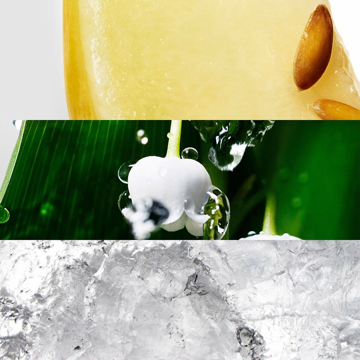 Perfume Mujer Davidoff Cool Water Woman EDT 50 ml (1 unidad)