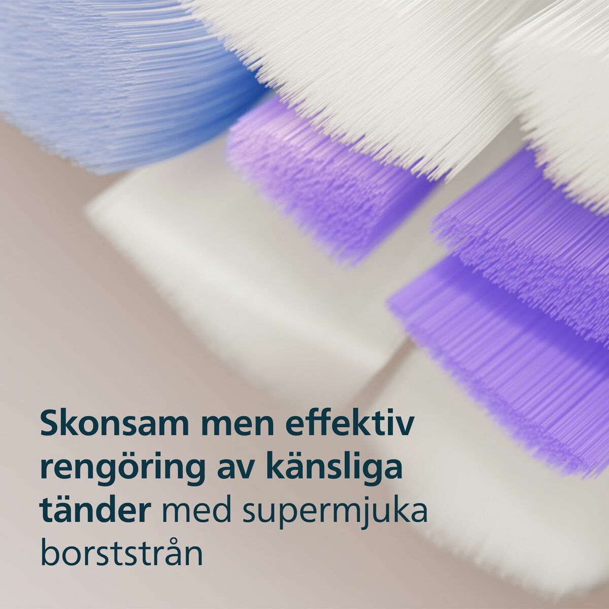 Cabezal de Recambio Philips OPTIMALWHITEHX6062/87PACKDE2CA (2 Unidades)