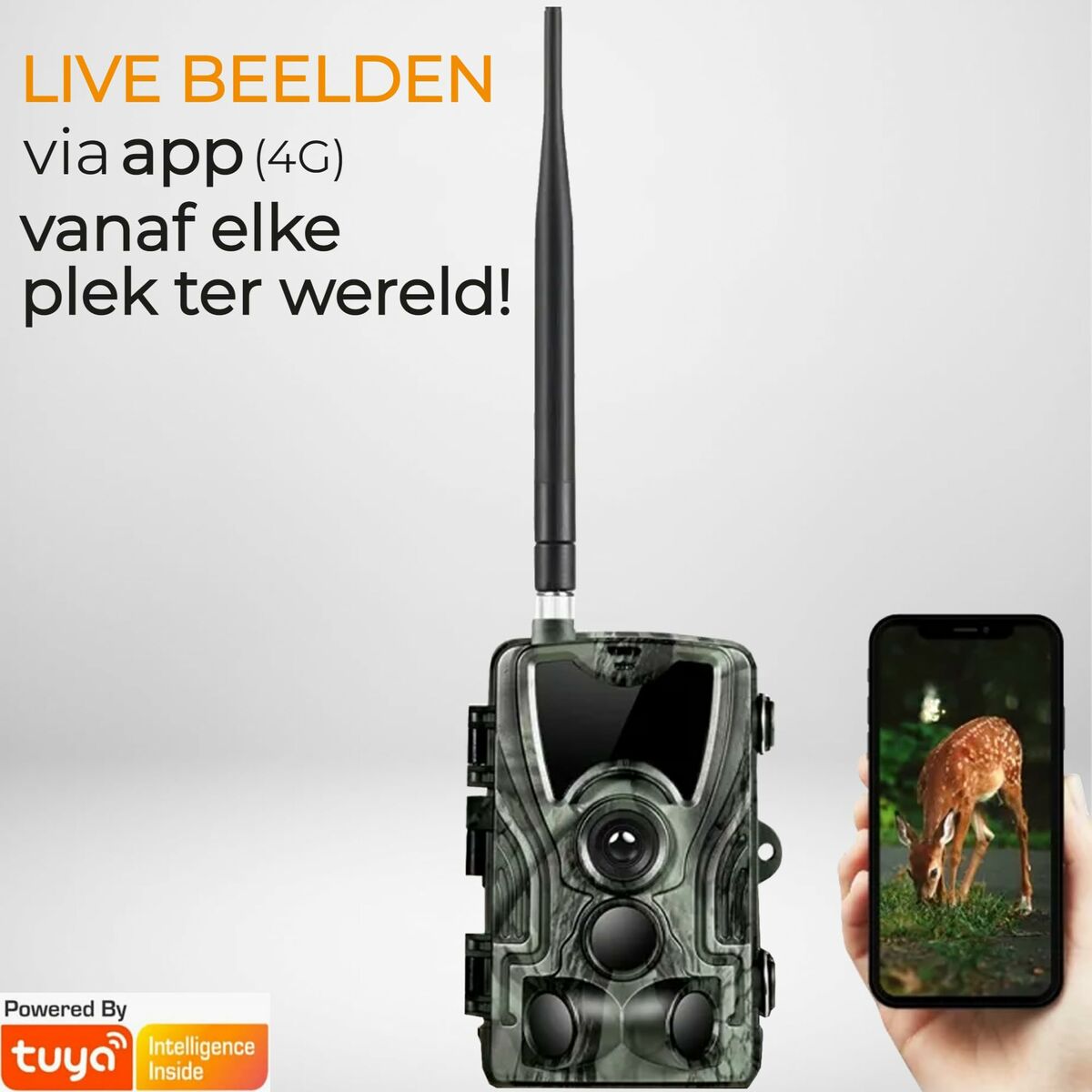 Cámara Digital Denver Electronics WCL-8040