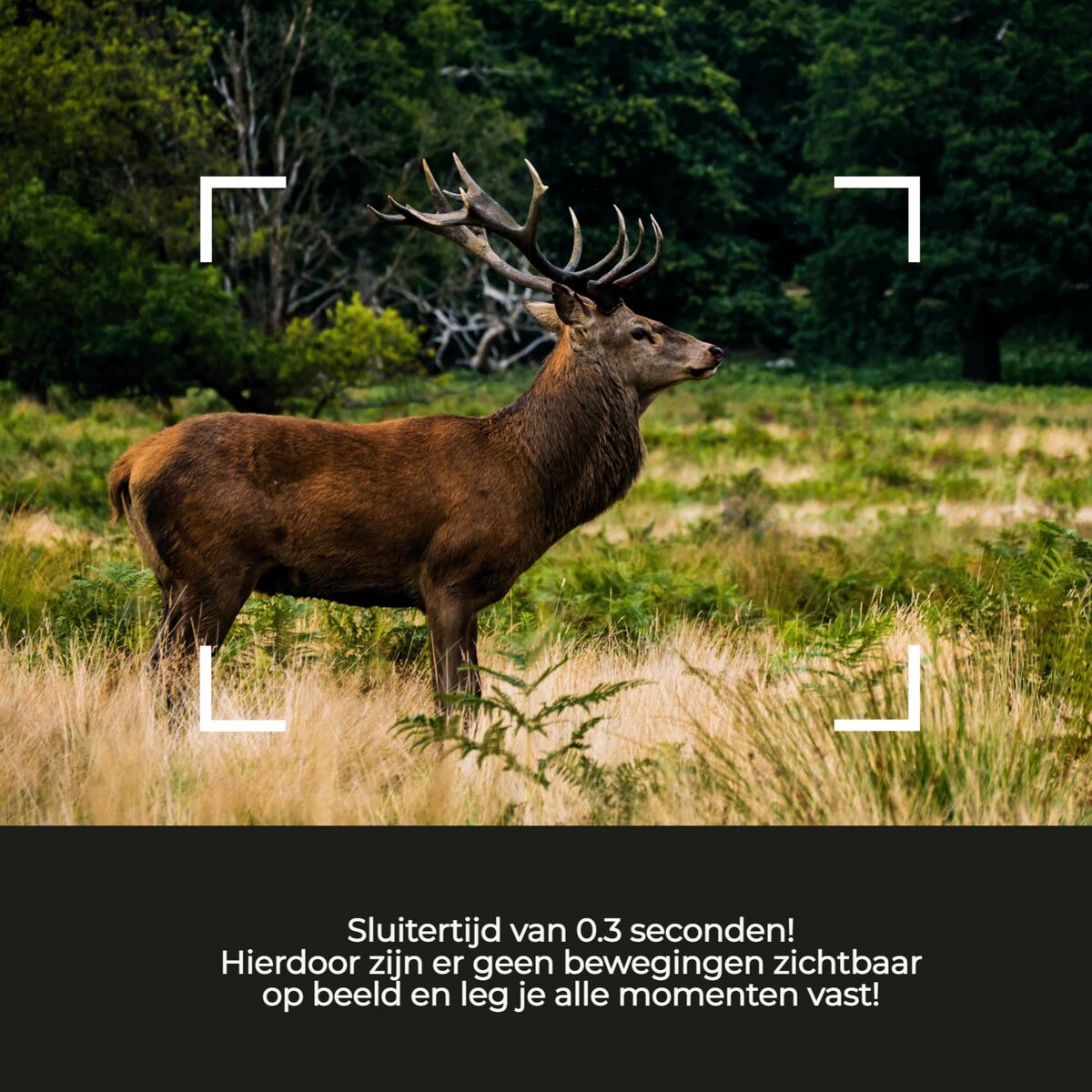 Cámara Digital Denver Electronics WCL-8040