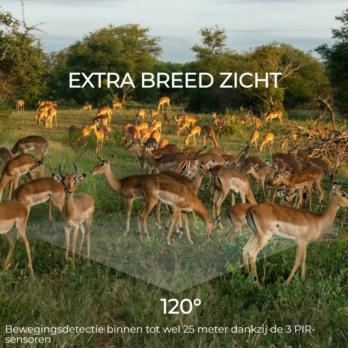 Cámara Digital Denver Electronics WCL-8040