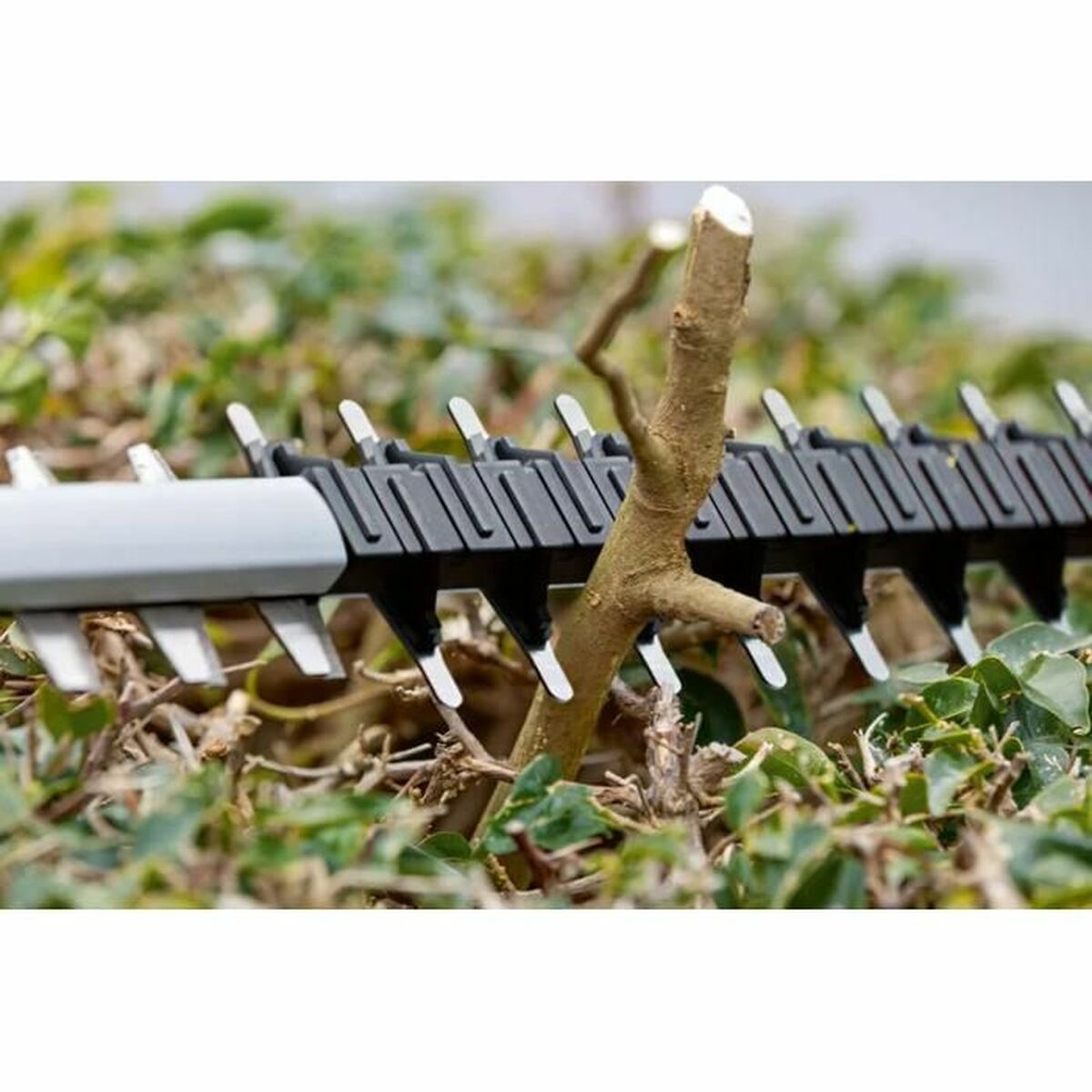 Cortasetos BOSCH 06008C9500 18 V