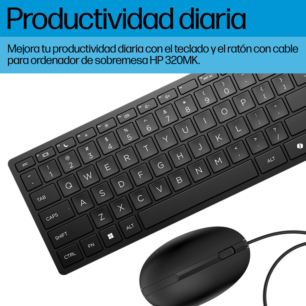 Teclado y Ratón HP 9SR36UT Negro Qwerty Español