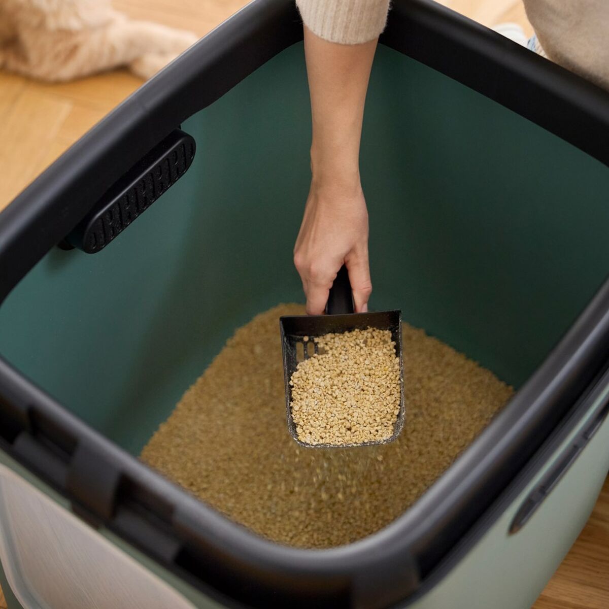 Arenero para Gatos Rotho Verde Plástico