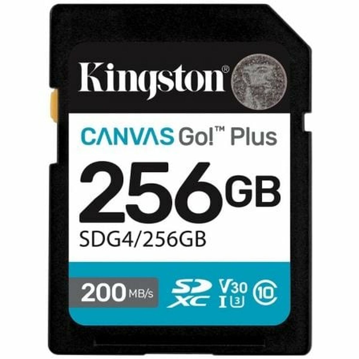 Tarjeta de Memoria Micro SD con Adaptador Kingston SDG4/256GB 256 GB