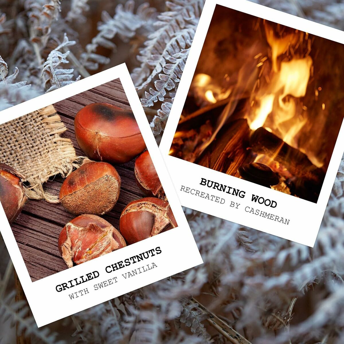 Perfume Unisex Maison Margiela REPLICA BY THE FIREPLACE