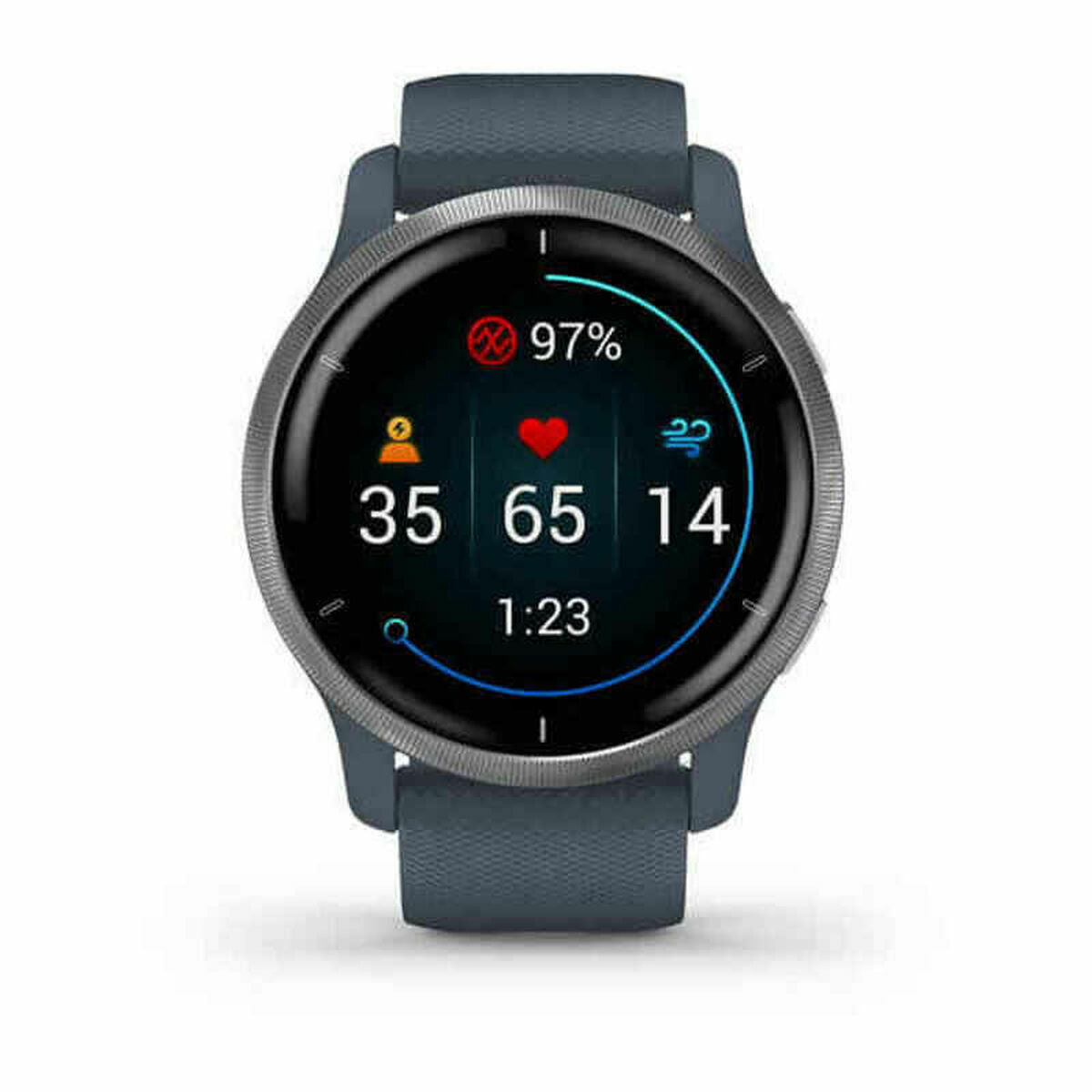 Smartwatch GARMIN 010-02430-10 Azul Plateado